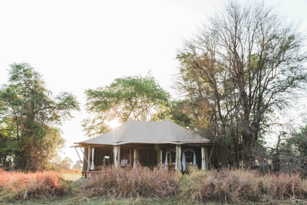 Classic Kafue 2