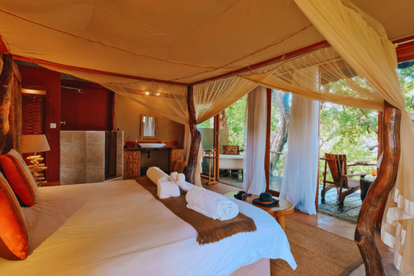 Classic Kafue & South Luangwa 1