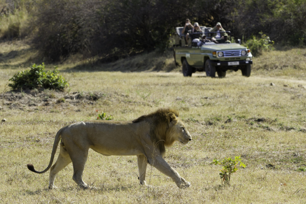 Classic Lower Zambezi, South Luangwa & Livingstone (9)