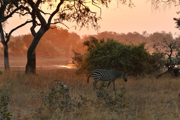 Deluxe South Luangwa & Kafue (5)