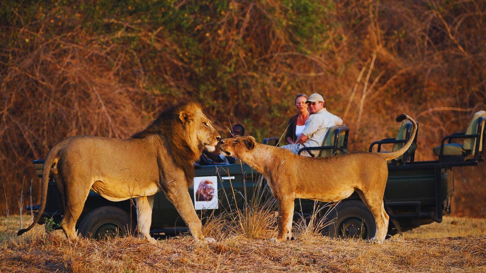 Deluxe South Luangwa & Livingstone Hero