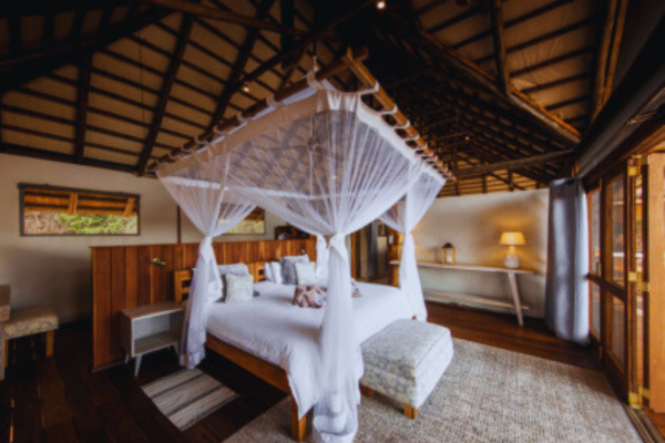 Deluxe South Luangwa & Lower Zambezi (4)