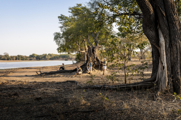 Deluxe South Luangwa, Lower Zambezi & Livingstone (3)