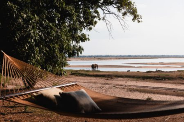 Deluxe South Luangwa, Lower Zambezi & Livingstone (6)