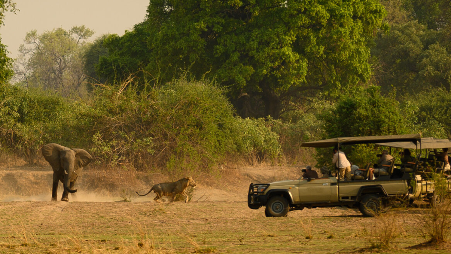 Deluxe South Luangwa, Lower Zambezi & Livingstone. Hero