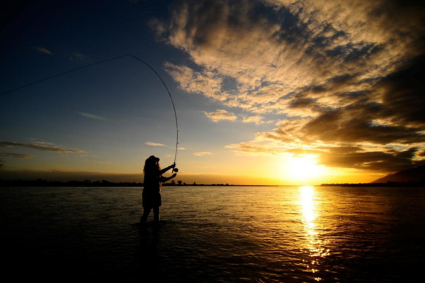 Luxury Chobe, Livingstone & Lower Zambezi (9)