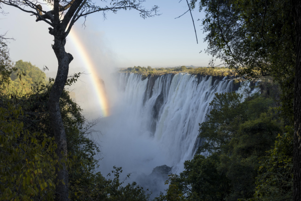 Luxury Family South Luangwa, Lower Zambezi and Livingstone (8)
