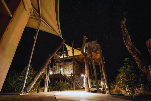 Luxury South Luangwa, Lower Zambezi and Kafue 2