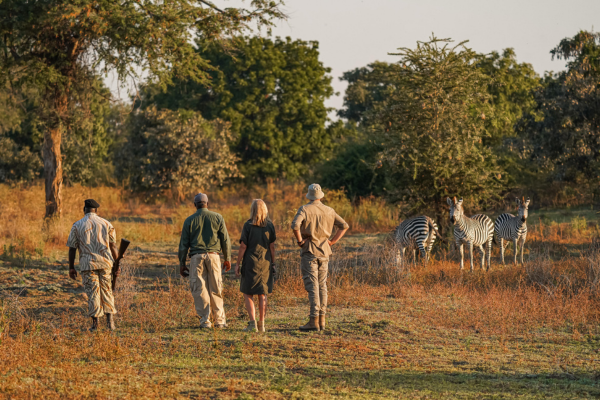 Luxury South Luangwa, Lower Zambezi and Kafue 2 (2)