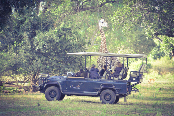 Luxury South Luangwa, Lower Zambezi and Kafue 2 (3)