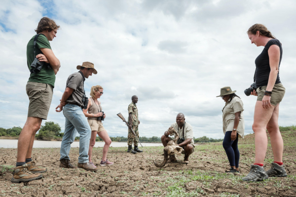 Luxury South Luangwa, Lower Zambezi and Kafue (3)