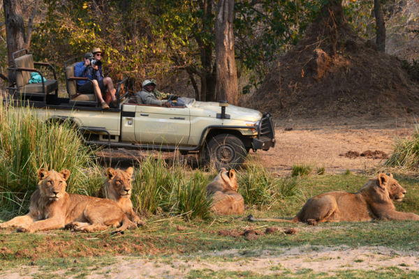 Luxury South Luangwa, Lower Zambezi and Kafue (5)