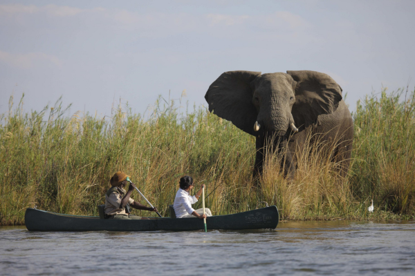 Luxury South Luangwa, Lower Zambezi and Kafue (6)